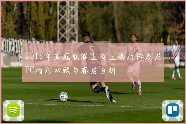 2018年亚冠联赛上海上港对阵悉尼FC精彩回顾与赛后分析