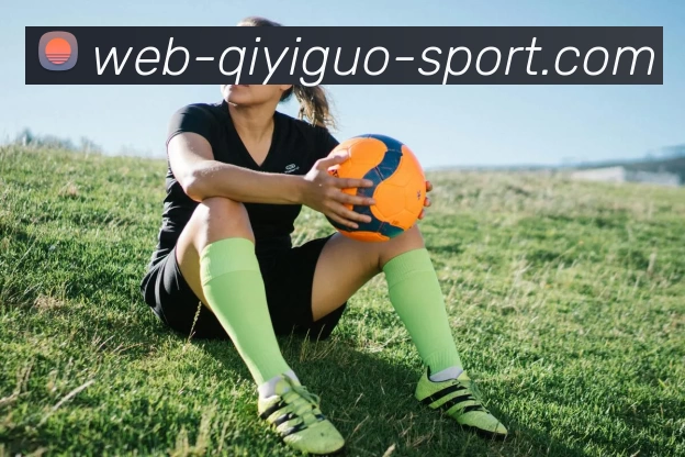 奇异果体育官网平台生态图